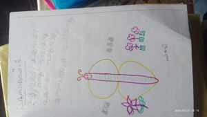 29433-IDK-KUNJ- SULVI .jpg