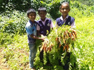 30070 green club.resized.jpg