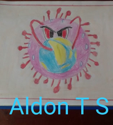 Aldon TS