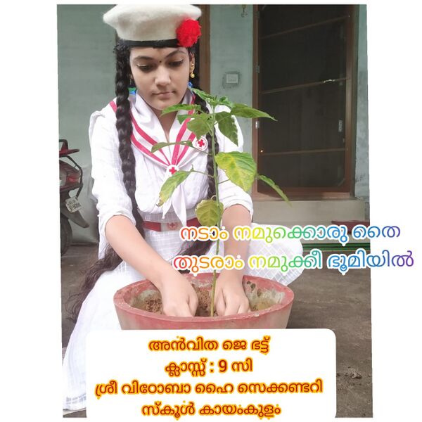 പ്രമാണം:36048 red cross 2.jpeg