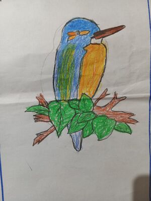 40205-KLM-KUNJ-MUHAMMAD EESA.jpeg