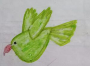 41522-KLM-KUNJ Nivedhya Renjith.jpeg