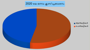 47234 std 1st admission Pie 2020.png