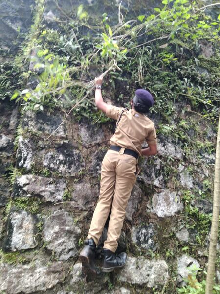 പ്രമാണം:BS21 TVM 42061 1.jpg