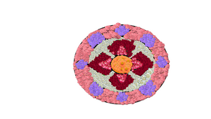 DHEERAJKUMAR SD 9B.png