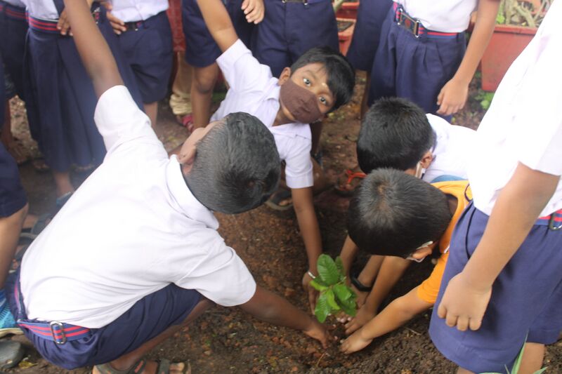 പ്രമാണം:Rsz img 1767.jpg