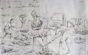 SSK2024-25 901 HSS General A 230 30053.jpg