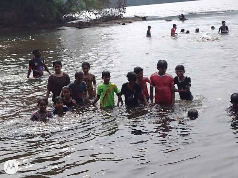പ്രമാണം:11453 swim5.jpeg