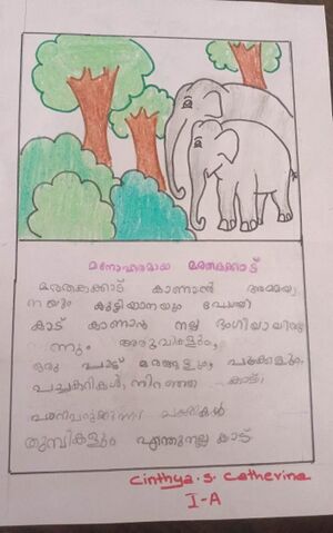 15509-WYD-KUNJ-CINTHYA S CATHERINE..jpg