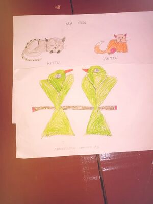 18748-MLP-KUNJ-NAFEESATH SHIFANA.P.S.jpg