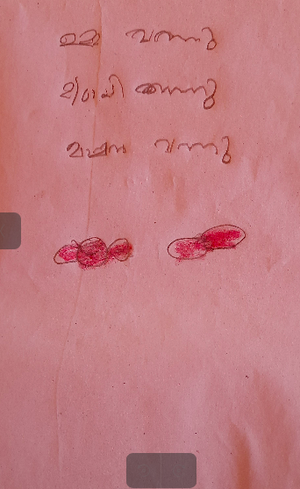 19618-MLP-KUNJ-FATHIMA SHIBILA.png