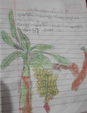 19865-MLP-KUNJ-MUHAMMED SHAMMAS.png