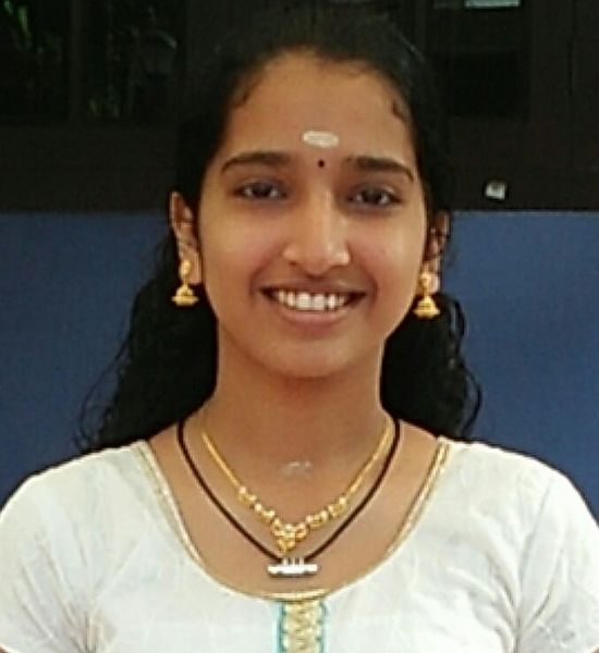 പ്രമാണം:22071 krishna.jpg