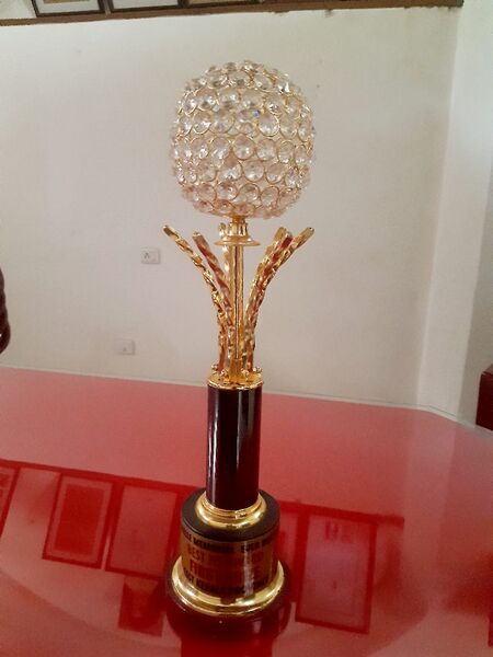 പ്രമാണം:33025 CSST AW.jpeg