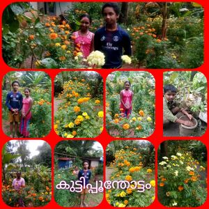 37268 poontottam.jpeg