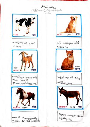 44228-TVM-KUNJ-ANAMIKA.jpg