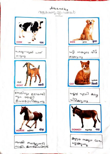 പ്രമാണം:44228-TVM-KUNJ-ANAMIKA.jpg