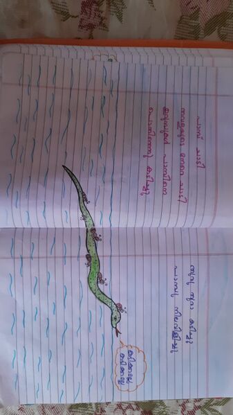 പ്രമാണം:44245 tvm kunj12.jpeg