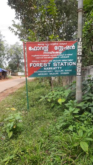 15054 ente gramam.jpg