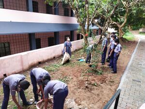 15501 scout and guides cleaning.jpg