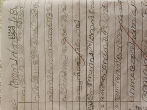 23323-TSR-KUNJ-SREEBALA C R.jpeg