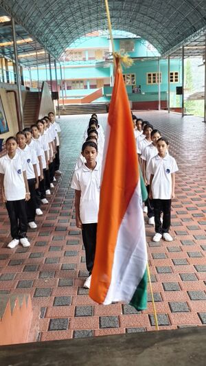 29040-SPC Independence Day Flag Hosting-1.jpg