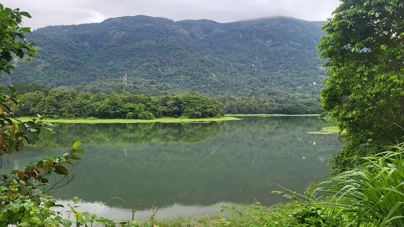 പ്രമാണം:29228 g4.jpg