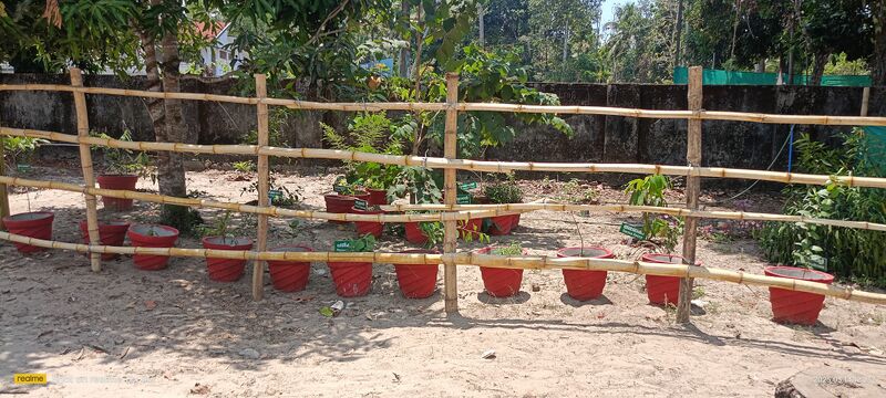 പ്രമാണം:36279 medicinal garden.resized.jpg