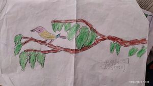 42338-TVM-KUNJ-SANU M.jpg