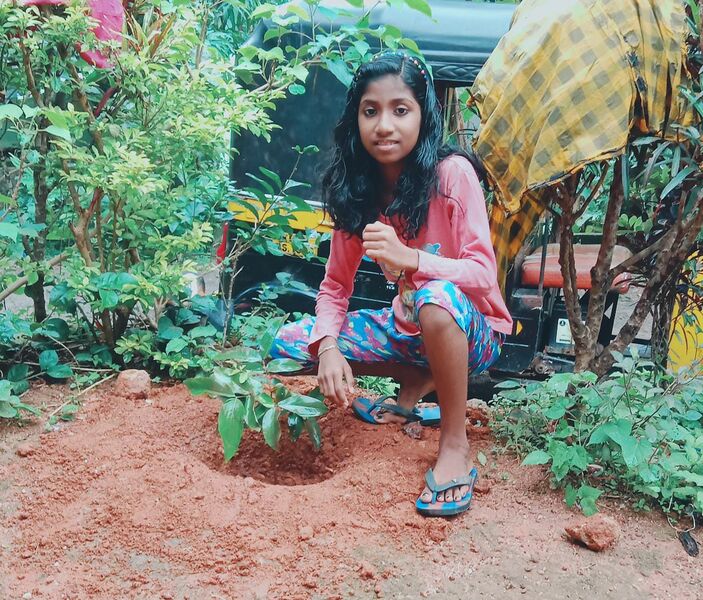 പ്രമാണം:44028 42.jpg