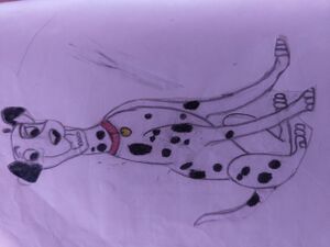 45322-KTM-KUNJ-Ramgopal A B.resized.jpg