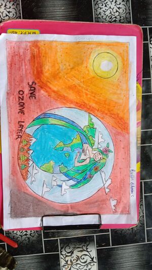 47045-ozone day 4.jpeg