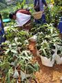 19:30, 12 ജൂലൈ 2019-ലെ പതിപ്പിന്റെ ലഘുചിത്രം
