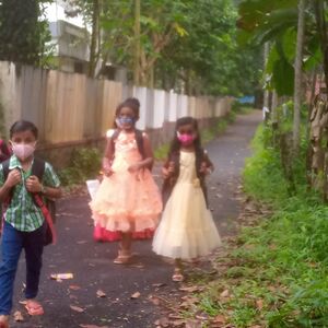 BS21 ALP 36236 1.jpg