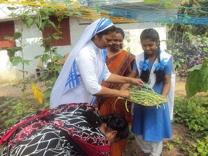 Jaivakrishi 14 35052 (3).JPG