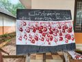 14:38, 14 ഓഗസ്റ്റ് 2025-ലെ പതിപ്പിന്റെ ലഘുചിത്രം