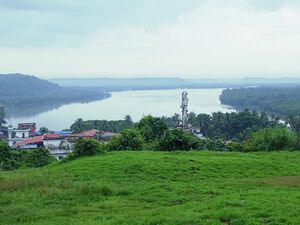 13033 Ente gramam.jpg