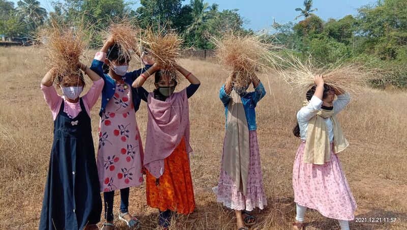 പ്രമാണം:13910 X mas 1.jpeg