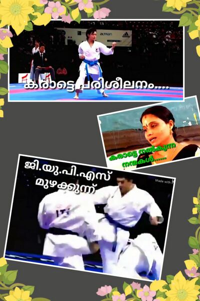 പ്രമാണം:14871 2022 karatte1.jpeg