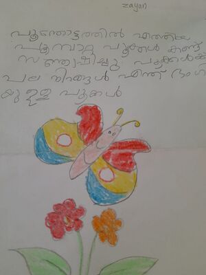 15380-WYD-KUNJ-zayan .jpeg