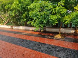 സ്കൂളിന്റെ മുറ്റം‍