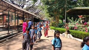 21302-tour2019 40.jpg