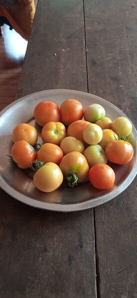 പ്രമാണം:22674 Veg2.jpg