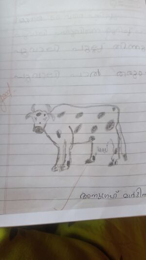 23212-TSR-KUNJ-ANUGRAHMARTIN (another copy).jpg