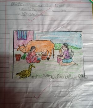 24542-TSR-KUNJ-Nithin Singh.jpeg