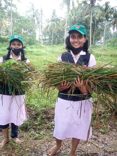 പ്രമാണം:26058 7.jpeg