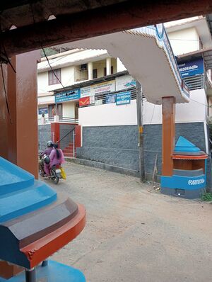 27012 Ente Gramam 4.jpg