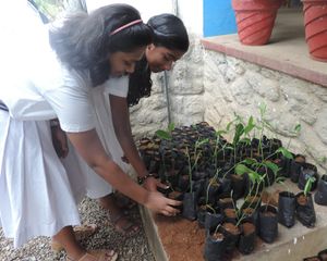 31076 redcross11.JPG