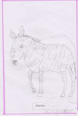 32423-KTM-KUNJ-NAVEEN JOHN.jpg