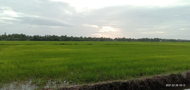 പ്രമാണം:35203 8.jpg